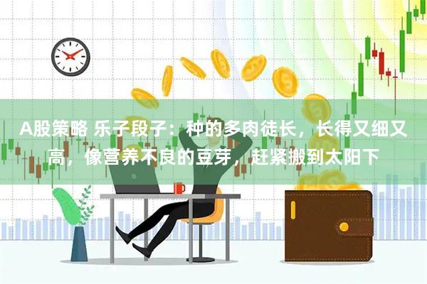 A股策略 乐子段子：种的多肉徒长，长得又细又高，像营养不良的豆芽，赶紧搬到太阳下