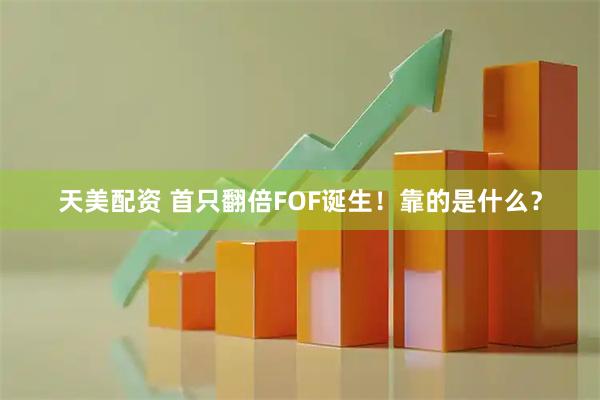 天美配资 首只翻倍FOF诞生！靠的是什么？