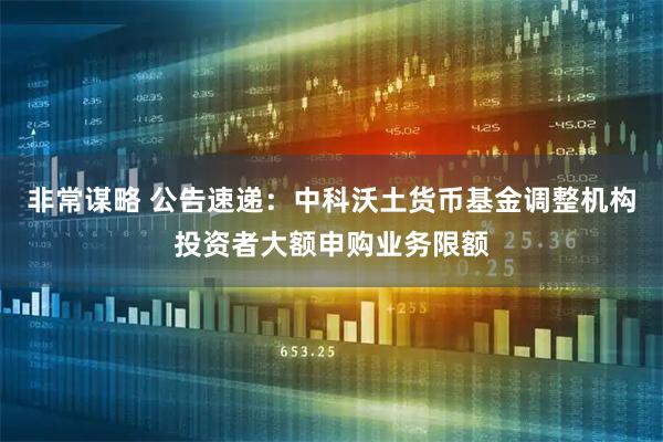 非常谋略 公告速递：中科沃土货币基金调整机构投资者大额申购业务限额