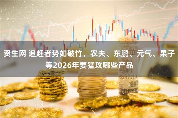 资生网 追赶者势如破竹，农夫、东鹏、元气、果子等2026年要猛攻哪些产品