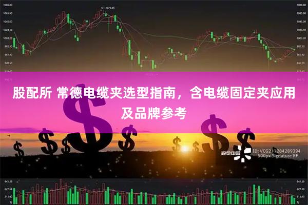 股配所 常德电缆夹选型指南，含电缆固定夹应用及品牌参考
