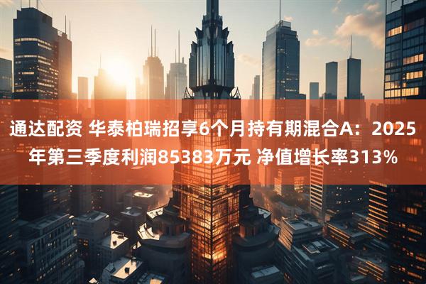 通达配资 华泰柏瑞招享6个月持有期混合A：2025年第三季度利润85383万元 净值增长率313%