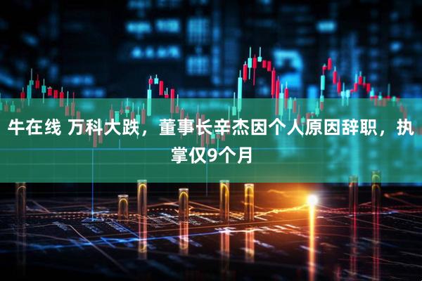 牛在线 万科大跌，董事长辛杰因个人原因辞职，执掌仅9个月