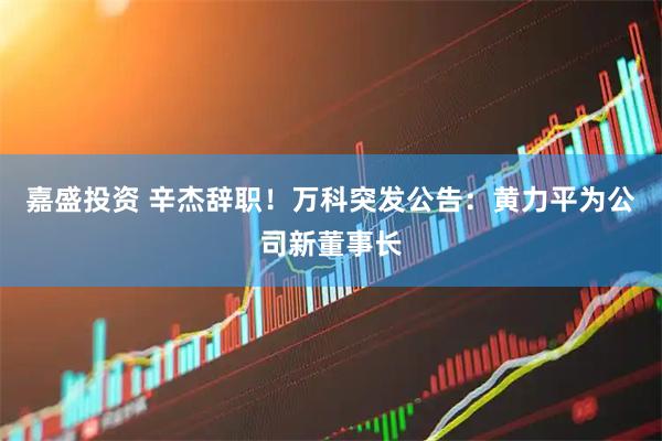 嘉盛投资 辛杰辞职！万科突发公告：黄力平为公司新董事长