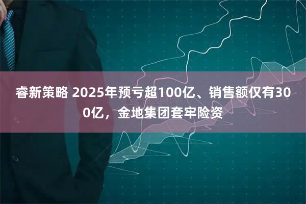 睿新策略 2025年预亏超100亿、销售额仅有300亿，金地集团套牢险资