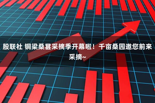 股联社 铜梁桑葚采摘季开幕啦！千亩桑园邀您前来采摘~